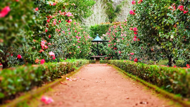 Landscaping